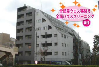 全部屋クロス張替え・全面ハウスクリーニング
