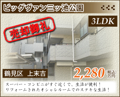 ビッグヴァン三ッ池公園