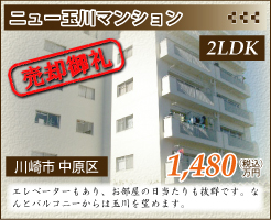 ニュー玉川マンション