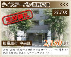ナイスアーバン淵野辺